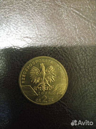 Подборка монет Польши. Злоты