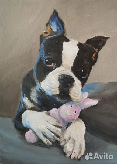 Картина маслом Бостон-терьер. Портрет питомца