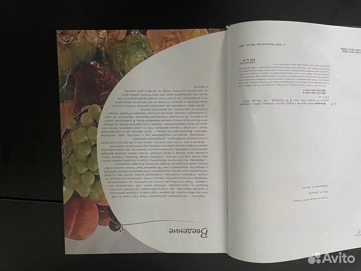 Большая книга закусок