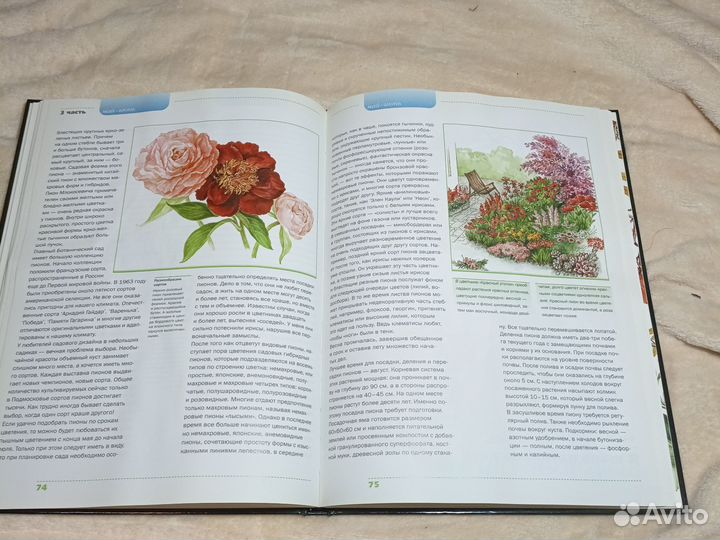 Книга Как украсить сад