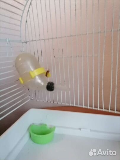 Клетка для хомяка