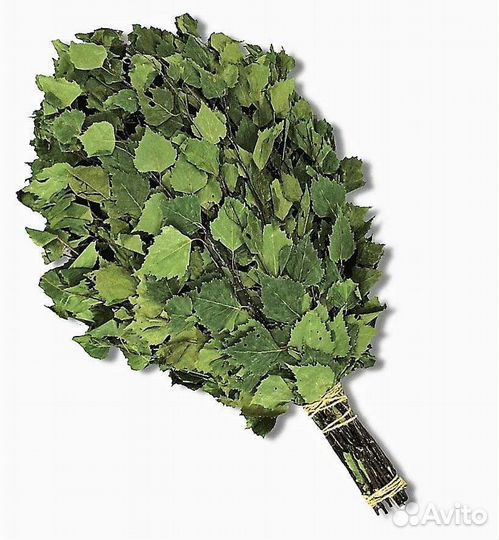 Веники для бани березовве