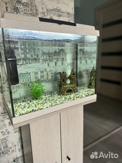 Аквариум 55л