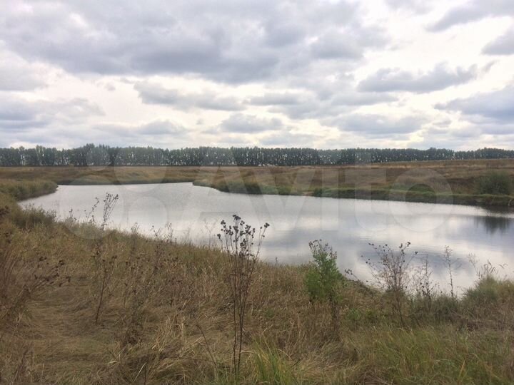 Участок 11 га (ИЖС)