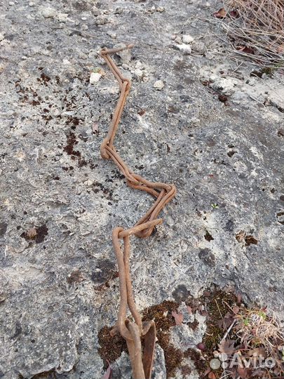 Древняя цепь для очага