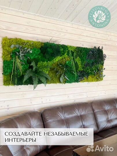 Мох ягель декоративный 0.5 кг от производителя