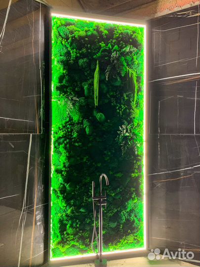 Панели панно фитостены мох стабилизированный