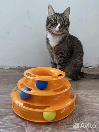 Игрушка для кошек