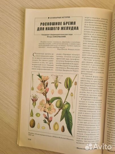 Журнал наука и жизнь