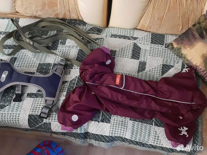 Комбинизон для средней породы собак