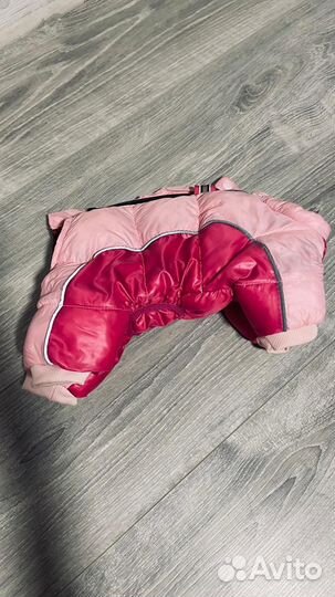 Зимний комбинезон для малких пород