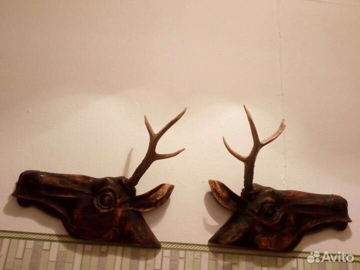 Рога оленьи