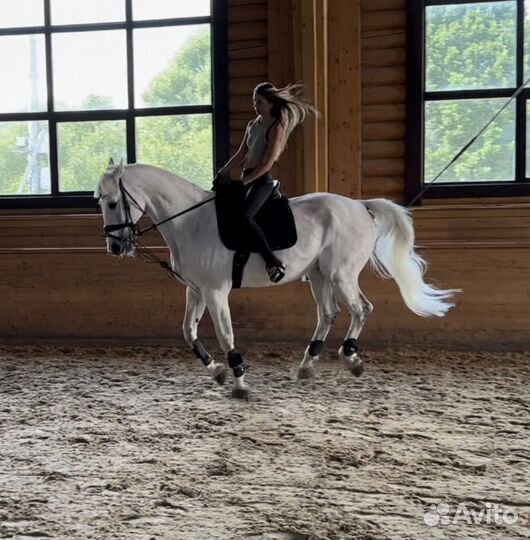 Фотосессия с лошадью