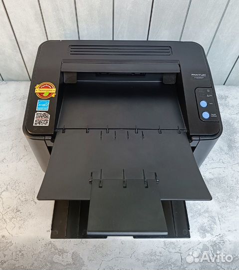 Принтер лазерный Pantum P2207