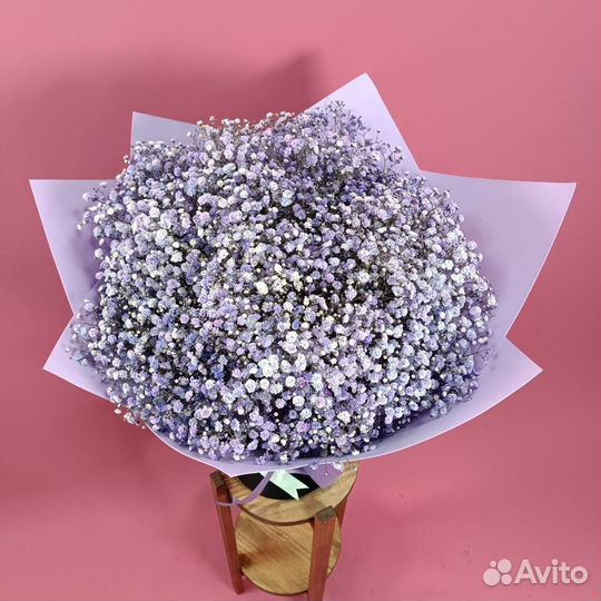 Букет из фиолетовых гипсофил 151 шт
