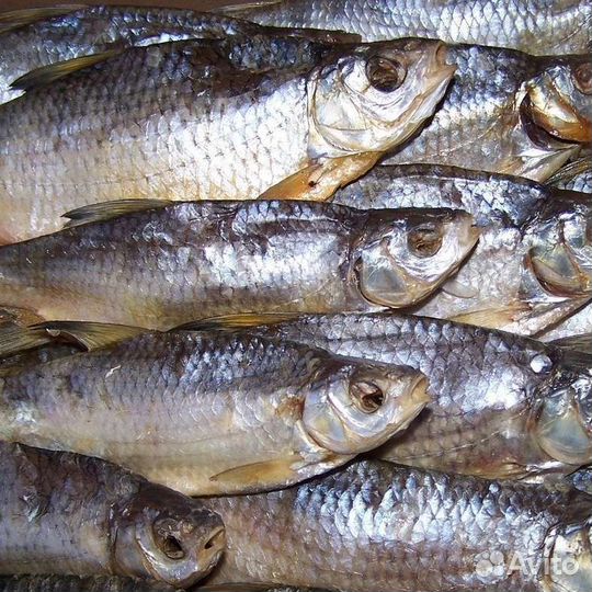 Астраханская вобла