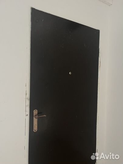 Входная дверь металлическая