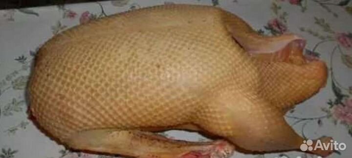 Мясо гуся