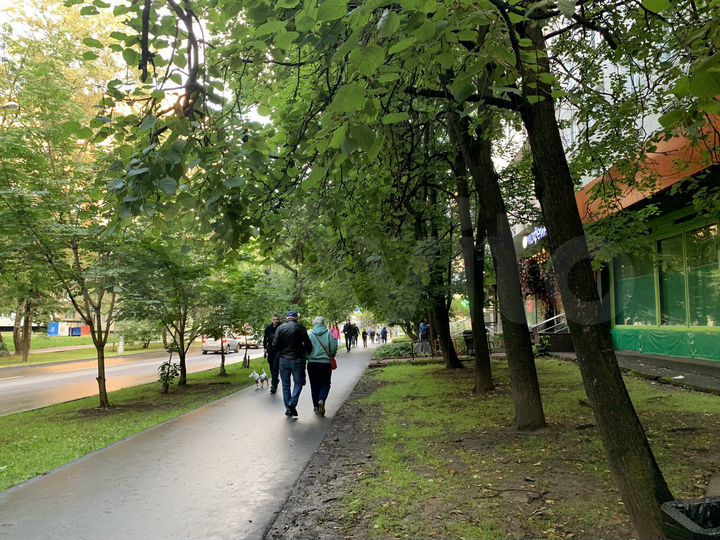 Общепит в аренду, 55