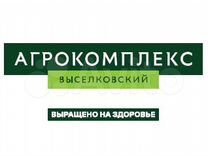 Оператор котельных установок вакансии