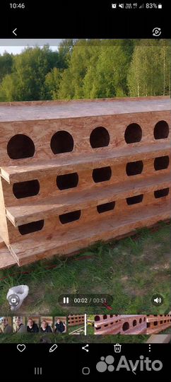 Гнездо для кур с яйцесборником