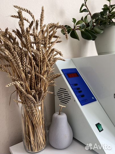 Маникюр Педикюр