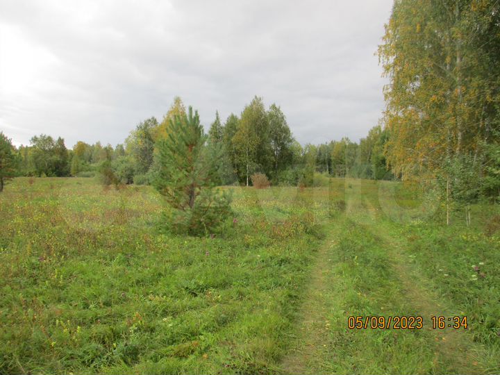 Участок 55 га (СНТ, ДНП)