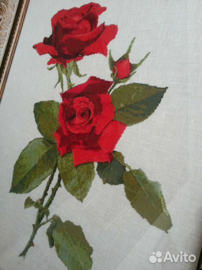 Розы для вашей любимой