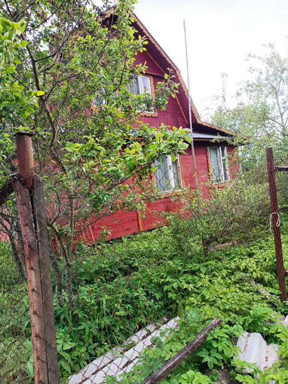 Дом 49 м² на участке 6 сот.