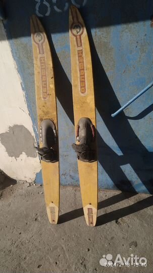 Водные Лыжи Дельфин