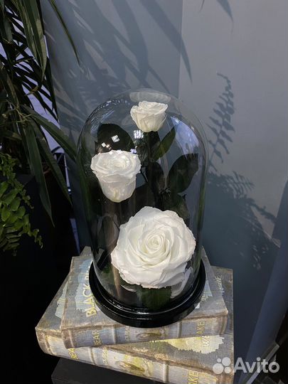 Вечная роза в колбе