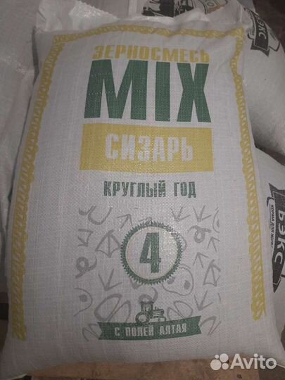 Кукуруза кормовая Приморье