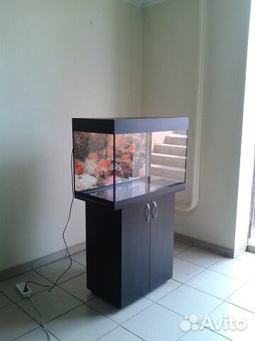 Аквариум 100 биофильтр, тумба, фон, свет