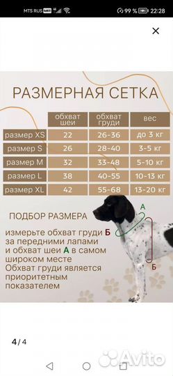 Шлейка для маленькой собаки. Рулетка и расчестка