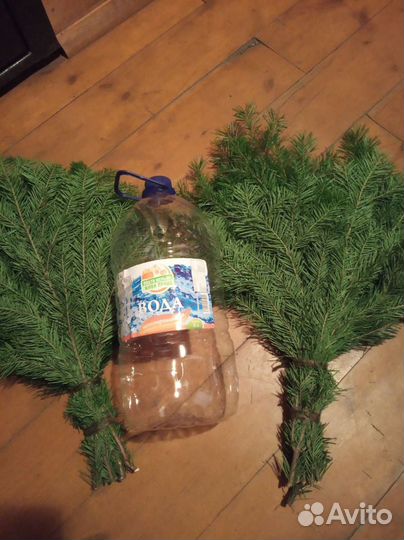 Пихтовые веники