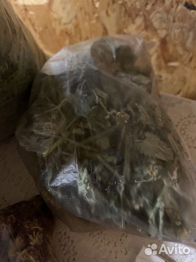 Искусственные листья