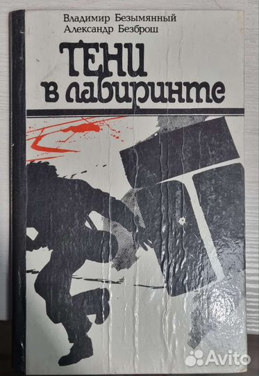 Книга Тени в лабиринте