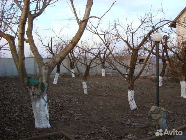 Обрезка деревьев, кустарников