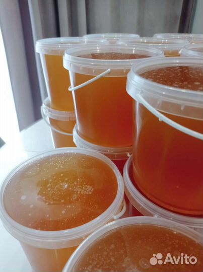 Липа мед 2023 оптом