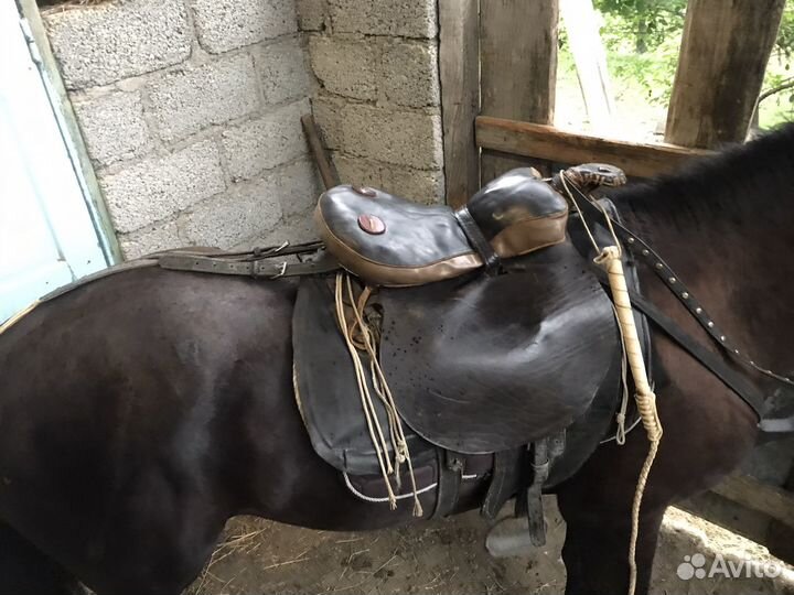 Седло для лошади универсальное