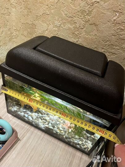 Аквариум с рыбками