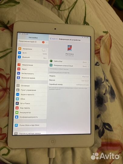 iPad mini