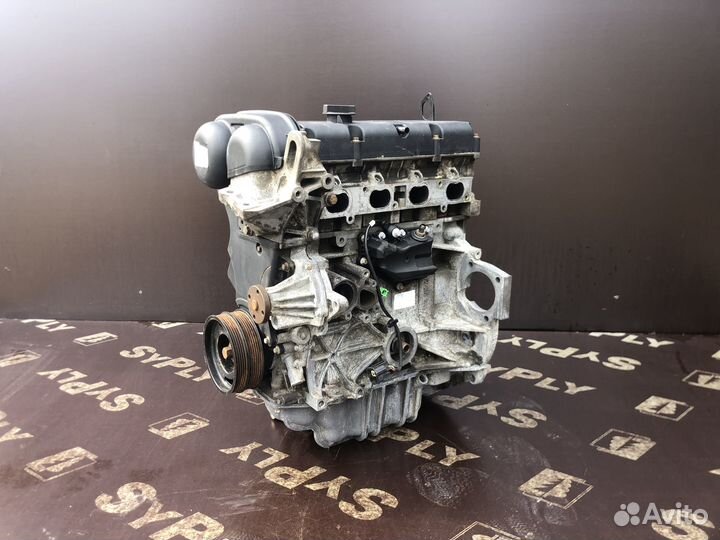 Двигатель ford focus 2 1.6 shda