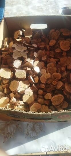 Можжевельник Для декора