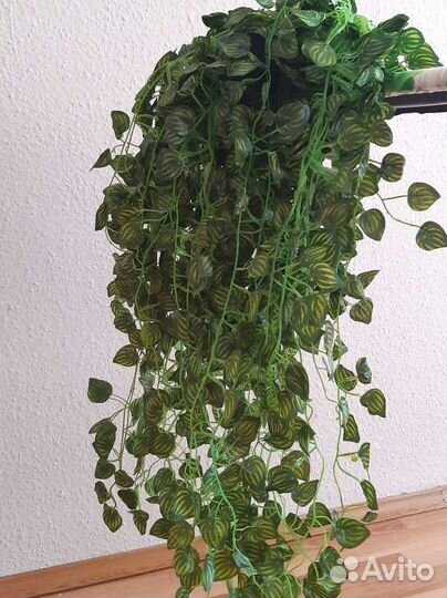 Искусственные цветы, лиана