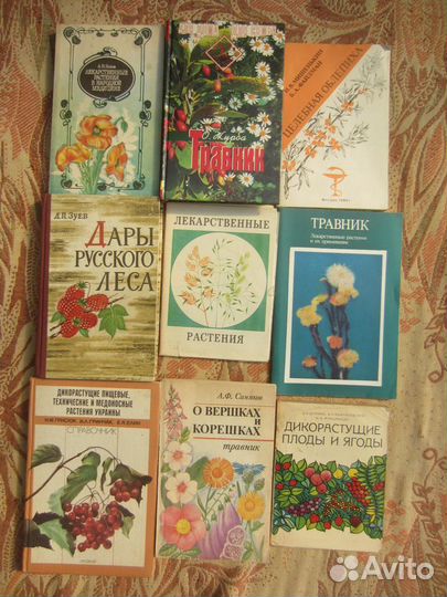 Д.П. Зуев. Дары русского леса. 1988 год
