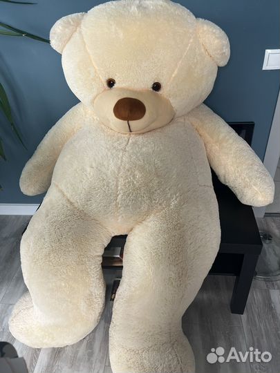 Плюшевый медведь
