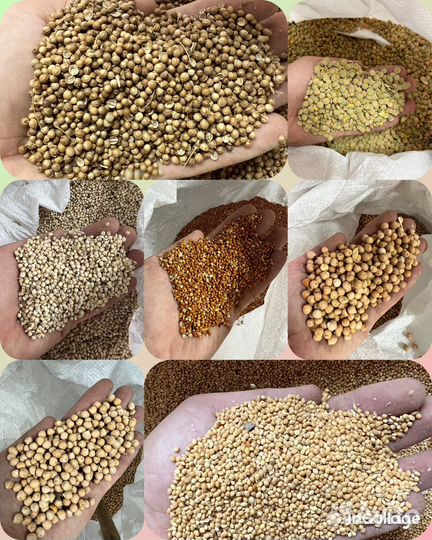 Горох, нут в мешках