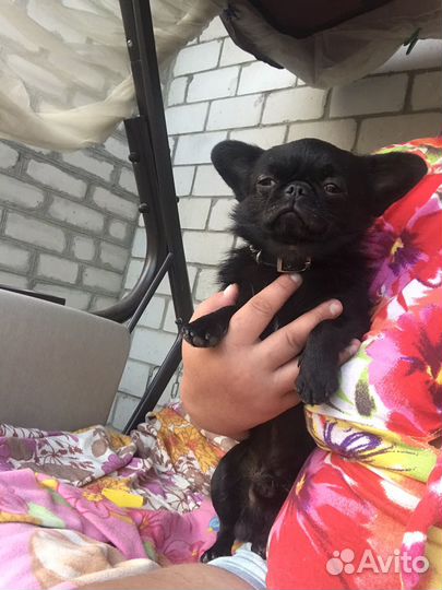 Настоящий таец