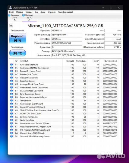 Моноблок Asus Zen AiO 24 ZN242G